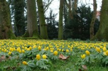 Der Schlosspark im Frühling schlosspark-im-fruehling-2
