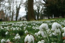 Der Schlosspark im Frühling schlosspark-im-fruehling-4