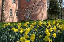 Der Schlosspark im Frühling schlosspark-im-fruehling-6