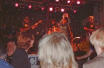 The Stingrays stingrays-3