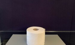 Objekt des Monats im Schlossmuseum Jever zum 1. April