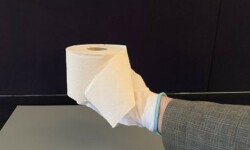 Objekt des Monats im Schlossmuseum Jever zum 1. April