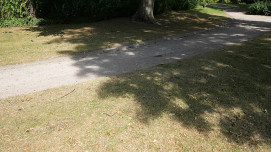 Abb. 3 Das saftige Grün des Rasens wandelt sich in den Sommermonaten in ein unattraktives Braun.