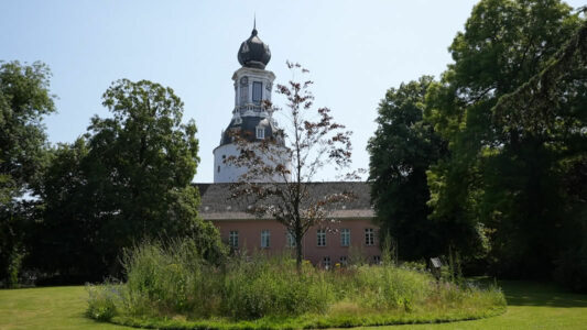 Abb. 5 Blühstreifen können für das Mikroklima sehr förderlich sein ...
