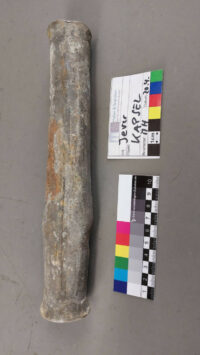 Die Zeitkapsel mit den Nachrichten (April 2023)