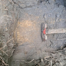 Abb. 03: Stark verdichtete, gelbgraue Schicht im Innern des Parkhügels.