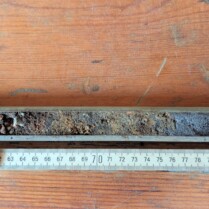 Abb. 03 Bodenhorizonte des Schlossparks in einer Tiefe von 56-85 cm unter der Oberfläche