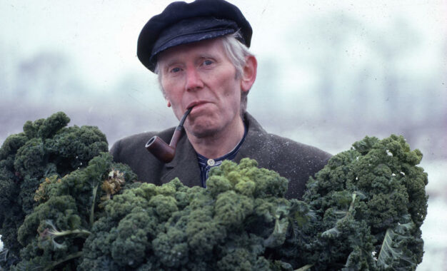 Landwirt mit Grünkohl auf dem Wochenmarkt