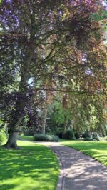 Impression I Schlosspark 2023<br />
© Foto Schlossmuseum Jever<br />
96 DPI, JPG, 2,5 MB >><a href="https://www.schlossmuseum.de/wp-content/uploads/2024/08/impression-i-schlosspark-2023-foto-schlossmuseum.jpg" target="_blank">Download</a><<