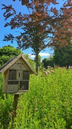 Impression III Schlosspark 2023<br />
© Foto Schlossmuseum Jever<br />
96 DPI, JPG, 4 MB >><a href="https://www.schlossmuseum.de/wp-content/uploads/2024/08/impression-iii-schlosspark-2023-foto-schlossmuseum.jpg" target="_blank">Download</a><<