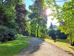 Schlosspark, Ansicht 5<br />
© Schlossmuseum Jever<br />
JPG, 1.4 MB >><a href="https://www.schlossmuseum.de/wp-content/uploads/2025/01/Schlosspark-Ansicht-5-Schlossmuseum-Jever.jpg" target="_blank">Download</a><<