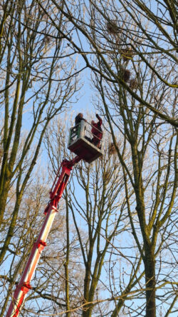 Anbringen der Kamera am 3.3.2025<br />
© AG Live dabei<br />
JPG, 400 KB >><a href="https://www.schlossmuseum.de/wp-content/uploads/2025/03/anbringen-der-kamera.jpg" target="_blank">Download</a><<